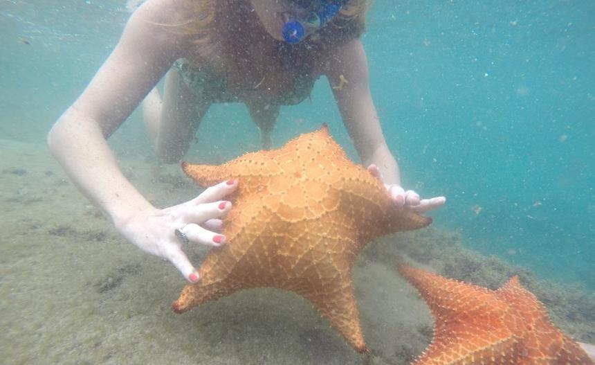 Kitnet Aconchegante A 200M Da Praia Daire Angra dos Reis Dış mekan fotoğraf